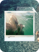 Underwater pool collage template